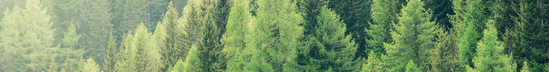 inner-banner-2-whoweare