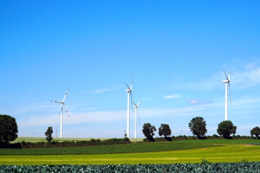 pinwheels-5295556_1920